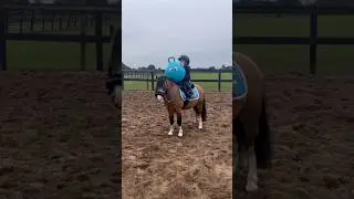 The 3 year old Frenkie playing with our Super Honey 🥰 #cutehorse #horse #horses #horsegirl #fyp