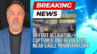 10-Foot Alligator Captured and Relocated Near Eagle Mountain Lake