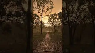How good is a summer storm after a scorcher of a day? #summer #australiaday