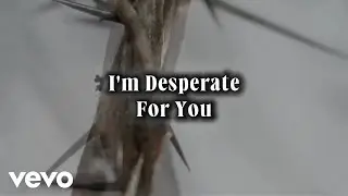ChildPets Galore - I'm Desperate For You (Official Music Video) (Lyric Video)