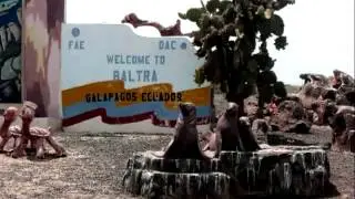 BAILANDO CON LOS GATOS 1