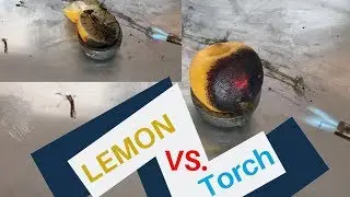 TORCH VS.  LEMON (WHITE NOISE) #torch #lemon #whitenoise