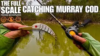 Catching Murray Cod | The Full Scale