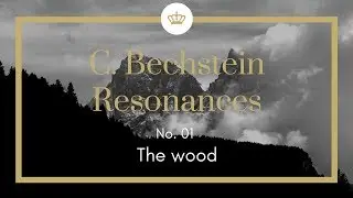 C. Bechstein Resonances: The wood (No. 01)