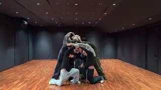 &TEAM 'Back to Life' Dance Practice Mirrored 