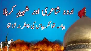 Hazrat Imam Hussain (A.S) Poetry | Very Sad Karbala poetry | Muharram Shayari in Urdu 🏴