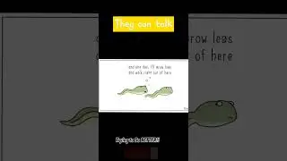 They can Talk | #youtubeshorts #shortmemes #viralmemes #theycantalk