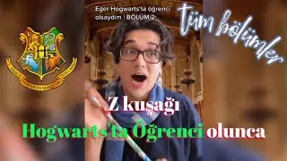 Hogwarts’ta öğrenci olsaydım