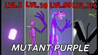 Evolution Of PURPLE Mutant (CRAZY) - Roblox Rainbow Friends - People Playground