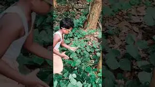 vintage village look/#kerala #village #vintage #dress #reelsvideo #viralreels #nature #greenish