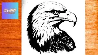 Eagle drawing realistic eagle head drawing bird drawing |#drawing #art #howtodraw #howto