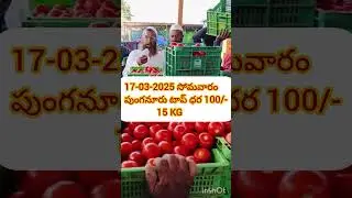 17/03/2025 || PUNGANUR TOMATO MARKET PRICE TODAY || TODAY TOMATO RATES || TODAY TOMATO PRICES 🍅🍅