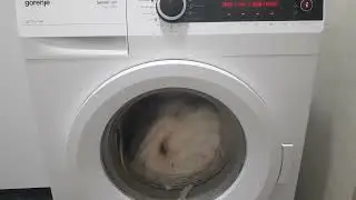 Gorenje SensoCare W7723:Cotton 40° 1200rpm with TimeCare