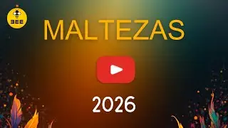 MALTEZAS 2026