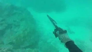 Spearfishing - Bora Bora (French Polynesia)