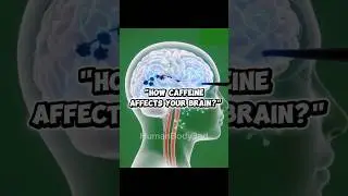 ​How CAFFEINE affects YOUR BRAIN?