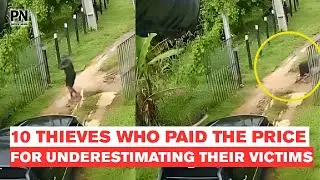 10 Thieves Who Paid the Price for Underestimating Their Victims 💥 | Real Footage Caught on Camera