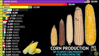 TOP 20 LARGEST CORN PRODUCERS IN THE WORLD