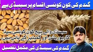 Which wheat varieties are included in subsidy? Wheat seed varieties and the companies in Punjab.