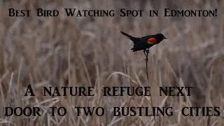NATURE PARADISE NEXT TO EDMONTON | Lois Hole Provincial Park
