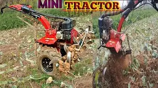 Mini Tractor #vlog #trendinvlogs #farming #automobile #ytvirlvideo #yashwant #Dangi #vlogs 