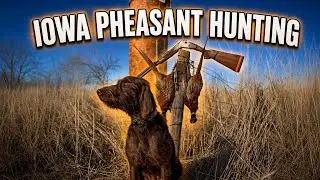 Iowa Pheasant Hunting | Final Day of The Season