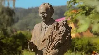 A.Vogel Brand Video