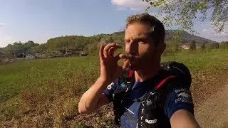 Run & Fly