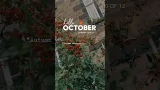 Welcome October | 🍁🌙🥧🍂☕️🎃🕯#musaessalife #october #hellooctober #october24 #newmonth #newbeggining