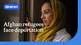 Growing concerns as millions of Afghan refugees face deportation from Pakistan | ABC NEWS