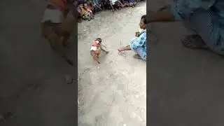 Monkey dance. Bandar ka khail