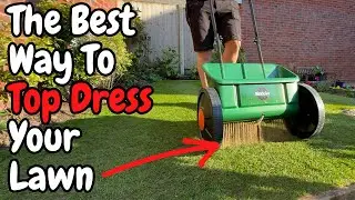 How to Top Dress Your Lawn WITHOUT Smothering It