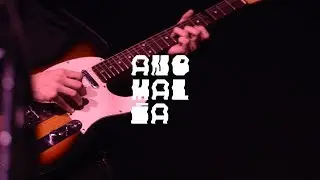Puerto Austral - Bamb&uacute; [anomal&iacute;a #018]