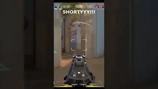 ECO SHORTYYYY!!!