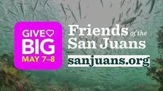 GiveBIG for the San Juans and Salish Sea