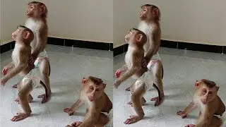3 Cuties Standing Find Mom At Outside