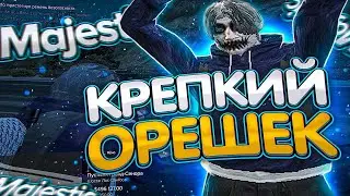 Обыденные дни SFSD | Тулева