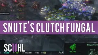 Snute's Clutch Fungal - Dreamhack Valencia