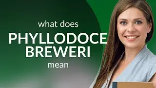 Phyllodoce breweri | what is PHYLLODOCE BREWERI definition