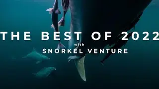 Snorkel Venture's Best of 2022
