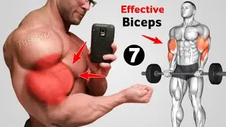 7 Best Biceps Workout at Gym for Size & Peak