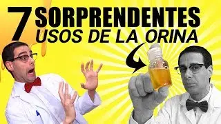 7 USOS DE LA ORINA SORPRENDENTES