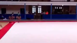 Sol gymnastique artistique (d&eacute;butant )