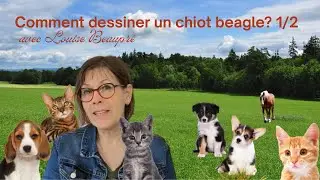 Comment dessiner un chiot beagle 1/2