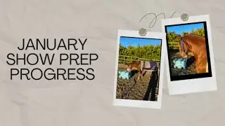January Show Prep Progress