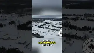 Жемчужина Лилано за 425 000 долларов? 🏠✨