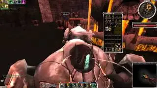 D/N Oola's Lab Solo HM