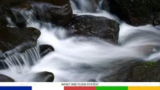 What are Flow States? Dr. Mark Epstein M.D. & Robert A.F. Thurman : Buddhist Psychotherapy