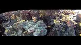 Aerial Fields: Finley's Rhododendrons