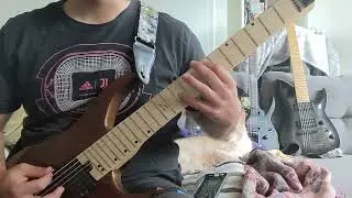 The Butcher Sisters (TBS) -  Barsch - Guitar Cover
